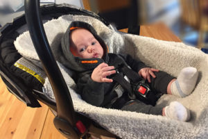 2019-11-21 photo coquille 2019-11-21 photo coquille